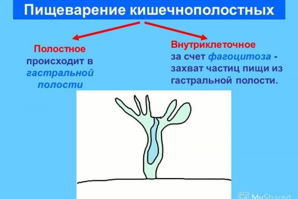Как зайти на кракен даркнет