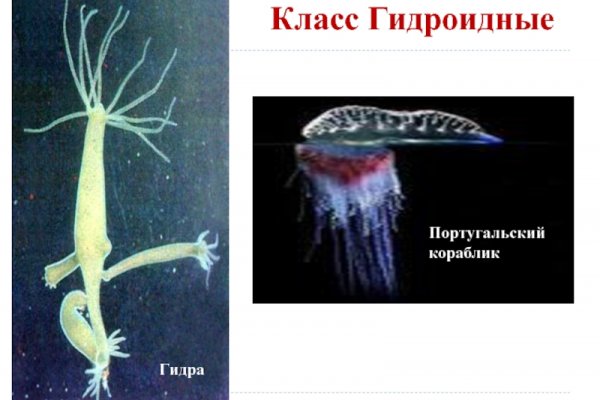 Кракен зеркала официальные