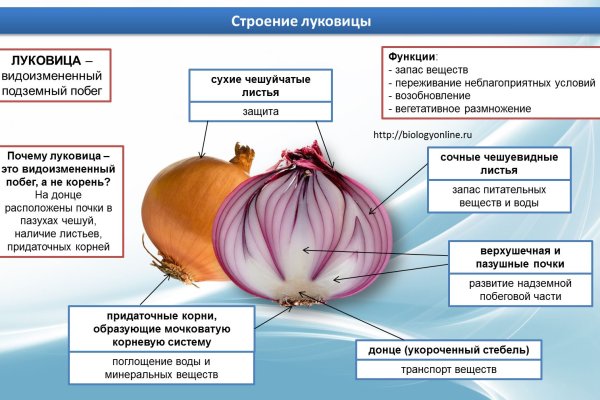Vk8 at кракен