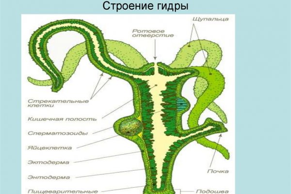 Через какой браузер заходить на кракен