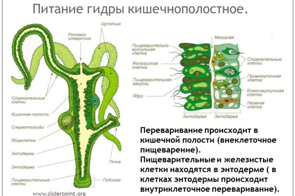 Кракен зеркало