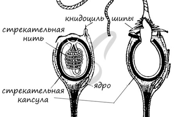 Кракен даркнет площадка