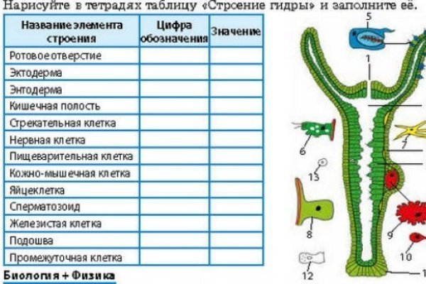 Нарко магазин кракен
