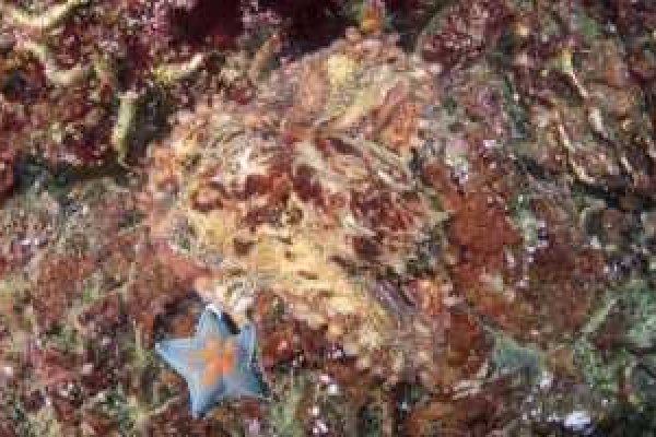 Kraken ссылка kraken link24 info