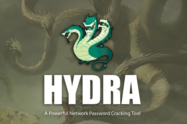 Kraken 12 at