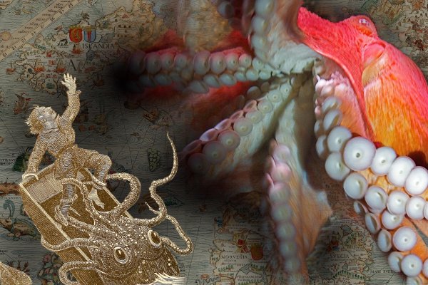 Kraken ссылка tor официальный сайт