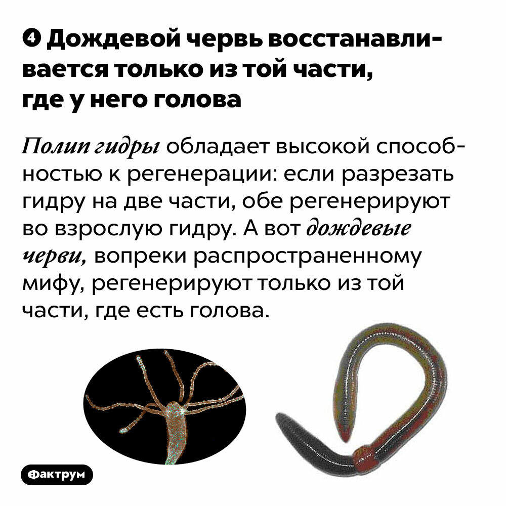 Как вывести деньги с kraken